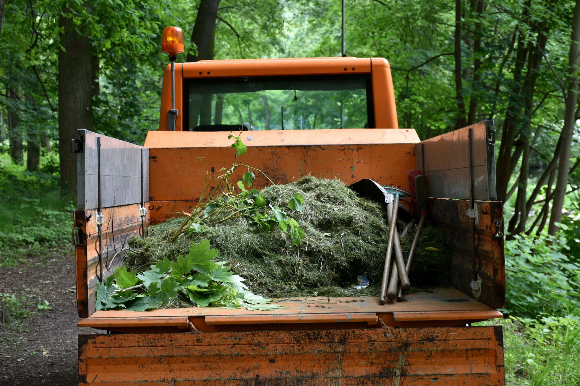 Orange utility truck carrying green garden waste in forest.